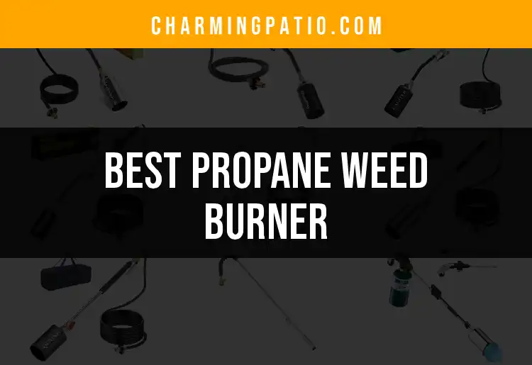 19 Best Propane Weed Burners for Effortless Yard Maintenance
