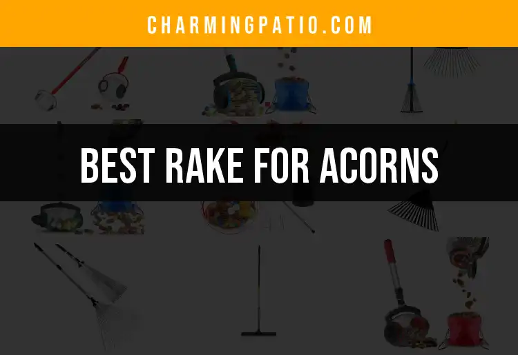 15 Best Rakes for Acorns to Keep Your Yard Tidy