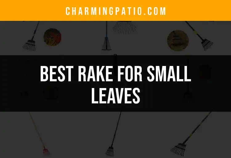 11 Best Rakes for Small Leaves to Simplify Your Cleanup