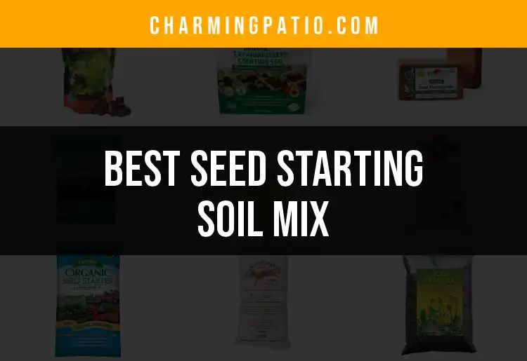 12 Best Seed Starting Soil Mixes for Thriving Seedlings