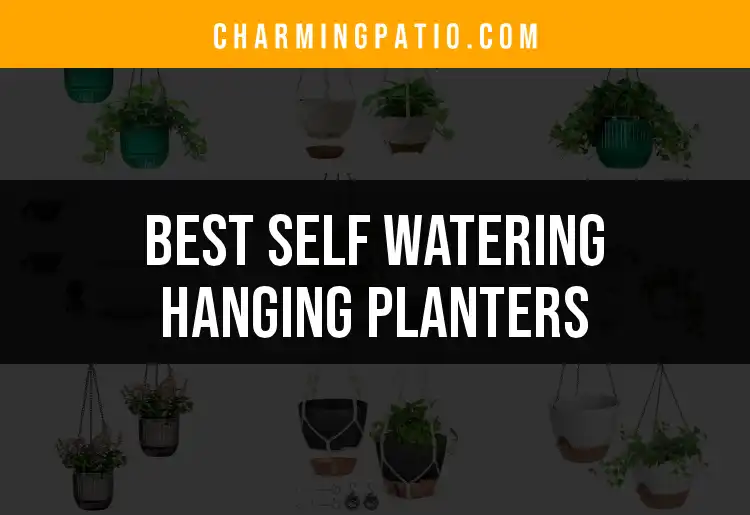 12 Self Watering Hanging Planters You’ll Love