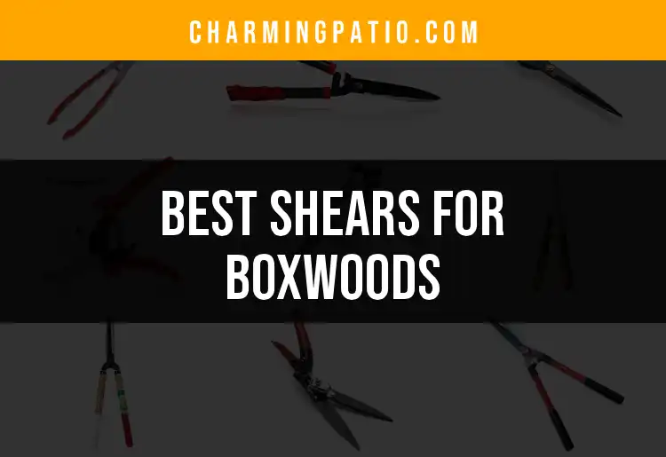 13 Best Shears for Boxwoods to Perfect Your Garden