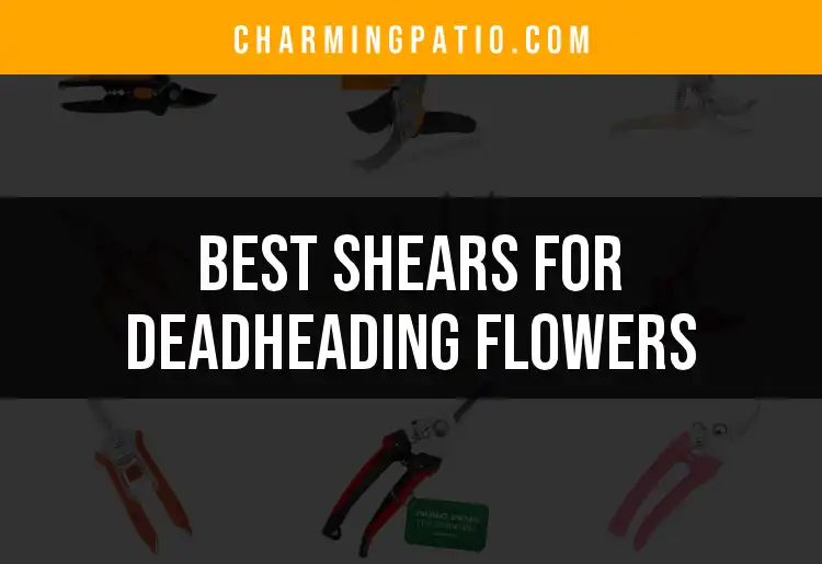 14 Essential Shears for Deadheading Flowers Made Easy