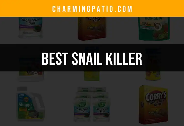 The Top 10 Snail Killers for a Pest-Free Garden