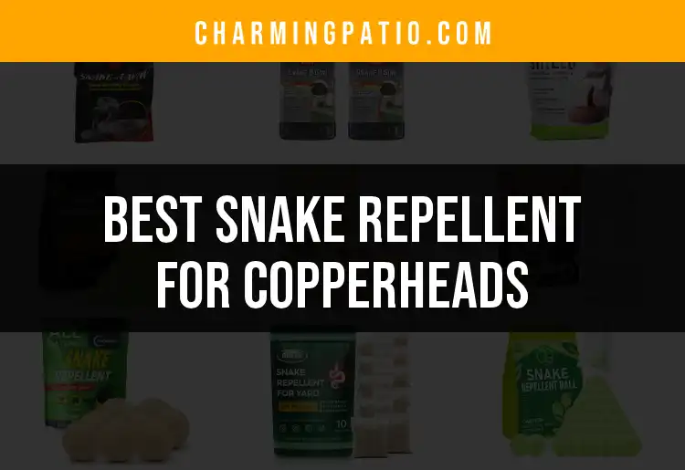 13 Best Snake Repellents for Copperheads You Need to Try