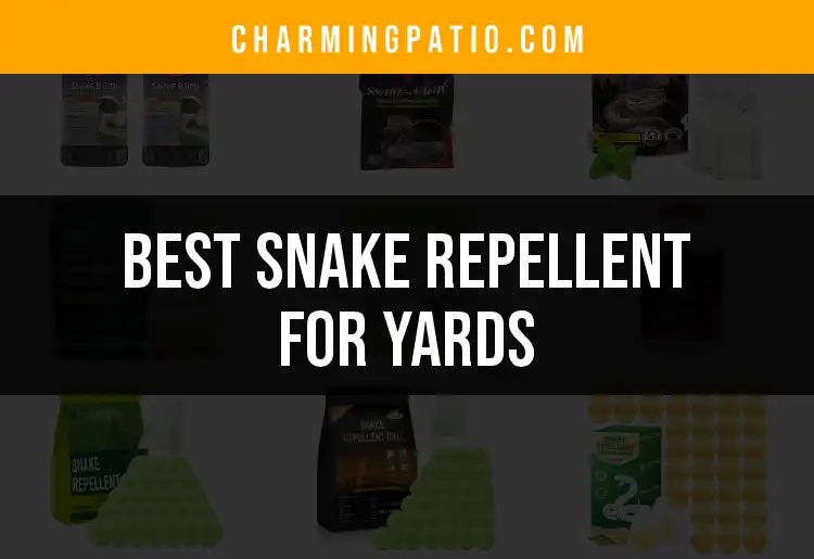 17 Best Snake Repellents for Yards You Need to Try