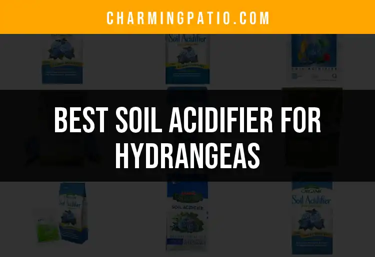 11 Best Soil Acidifiers for Hydrangeas to Boost Blooms