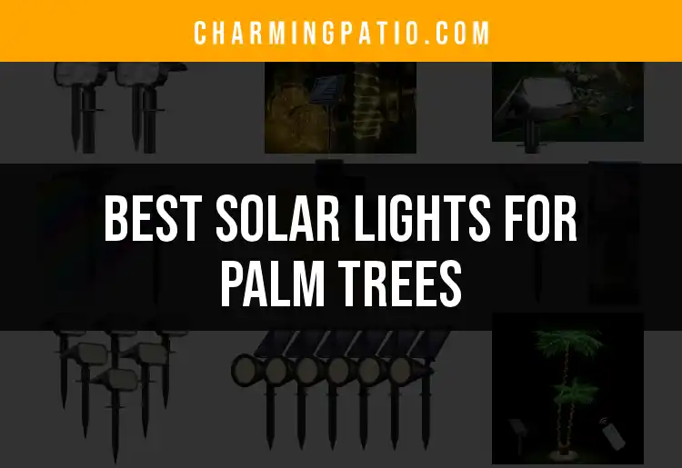 15 Best Solar Lights for Palm Trees to Illuminate Your Oasis
