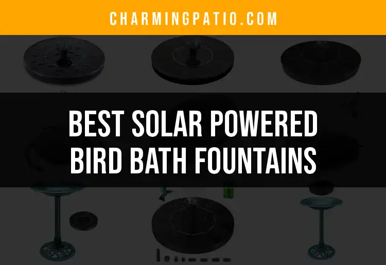 13 Solar Powered Bird Bath Fountains to Enhance Your Oasis featured