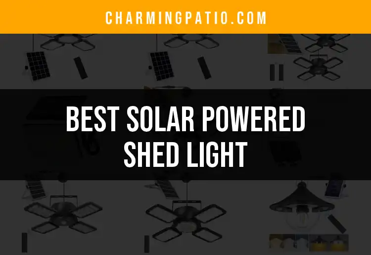 17 Best Solar Powered Shed Lights for Bright Ideas