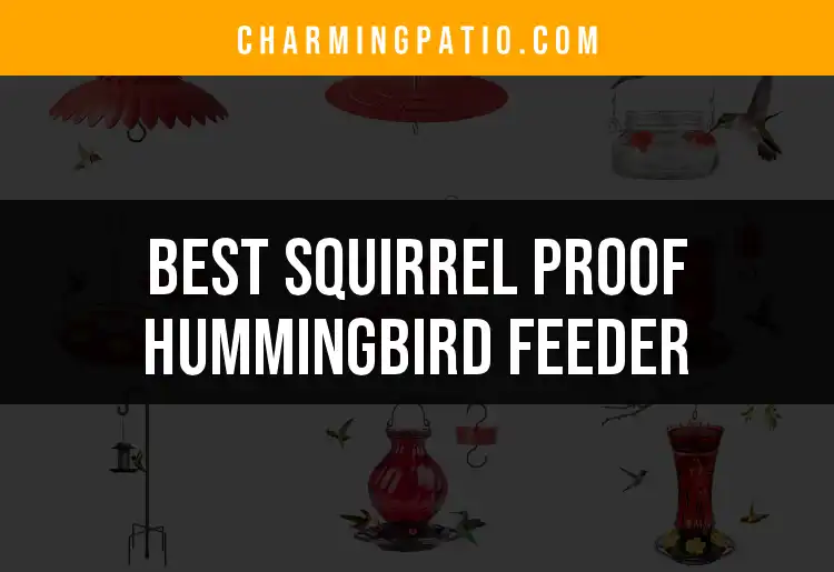 15 Squirrel Proof Hummingbird Feeders You Can't Miss