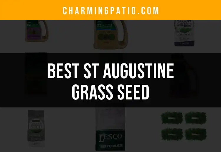 14 Best St Augustine Grass Seeds for Lush Lawns