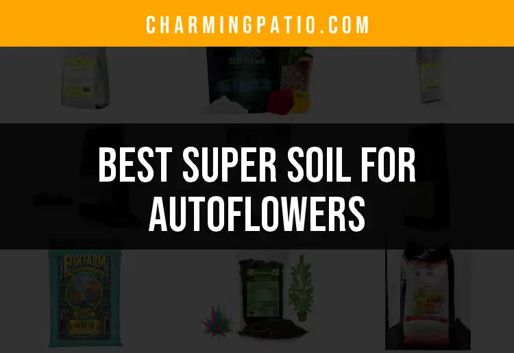 12 Top Super Soils for Autoflowers You'll Love