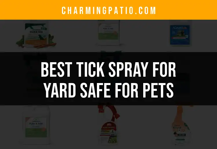 17 Pet-Safe Tick Sprays for Your Yard That Really Work