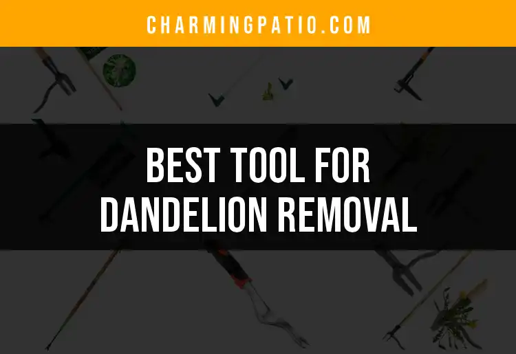 12 Best Tools for Dandelion Removal Made Easy