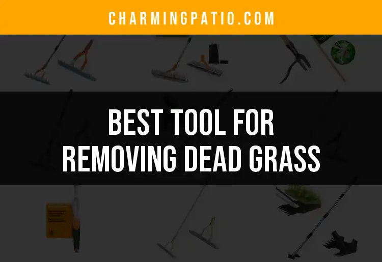 15 Best Tools for Removing Dead Grass Revealed