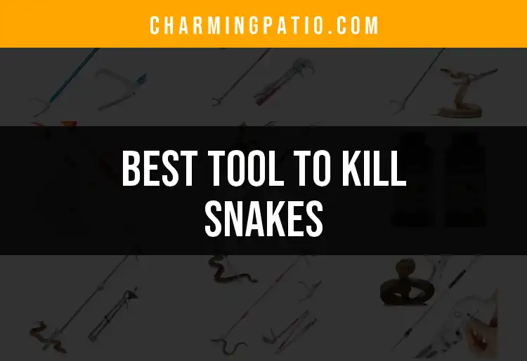 12 Effective Tools to Kill Snakes Safely
