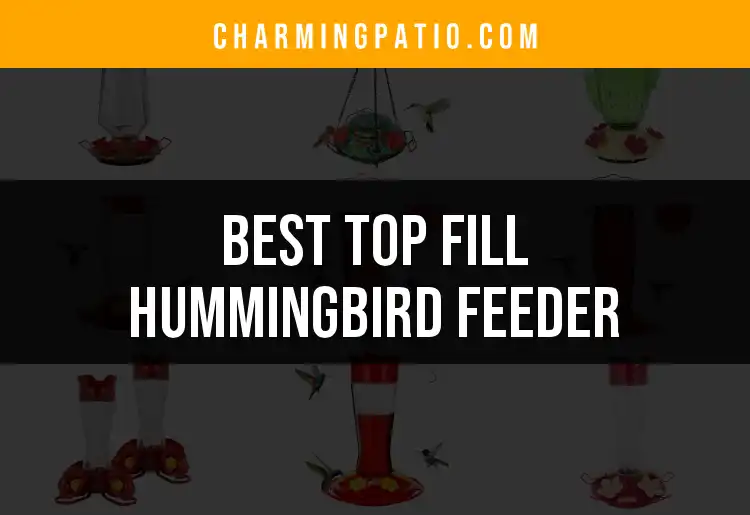 13 Top Fill Hummingbird Feeders to Delight Your Garden