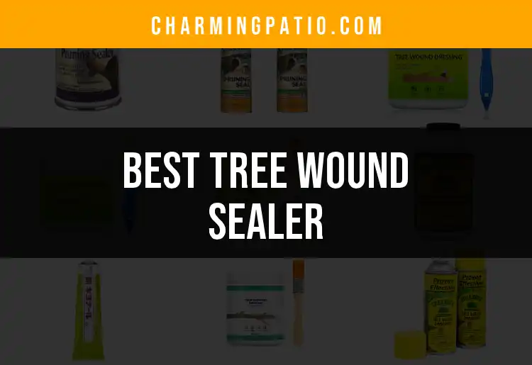 11 Best Tree Wound Sealers for a Healthier Garden