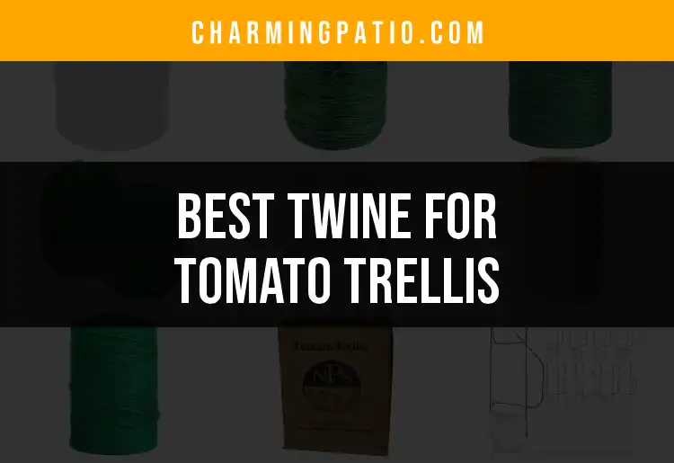 11 Top Twine Options for Your Tomato Trellis Needs