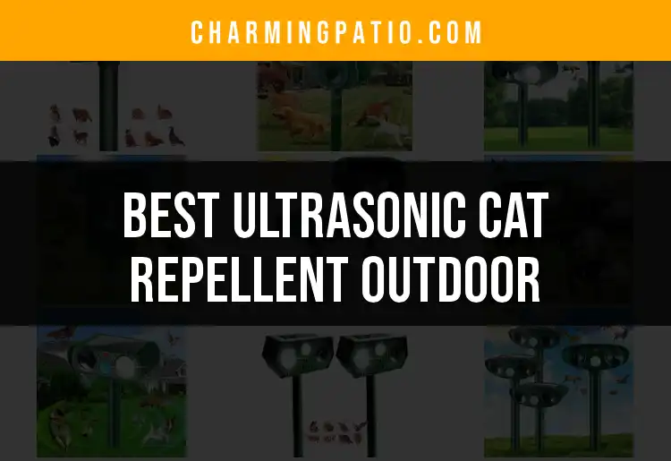15 Best Ultrasonic Cat Repellent Outdoor Options to Consider