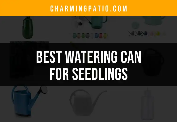13 Best Watering Cans for Seedlings Reviewed