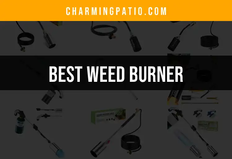 15 Best Weed Burners for Effortless Garden Control