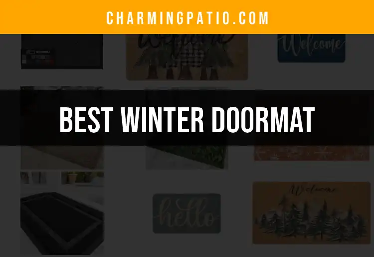 12 Essential Winter Doormats to Enhance Your Entryway
