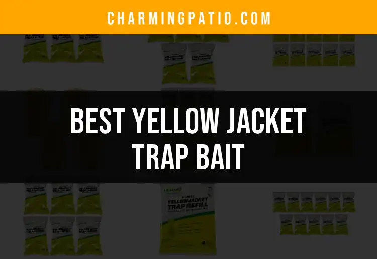 13 Best Yellow Jacket Trap Bait Options for a Pest-Free Yard